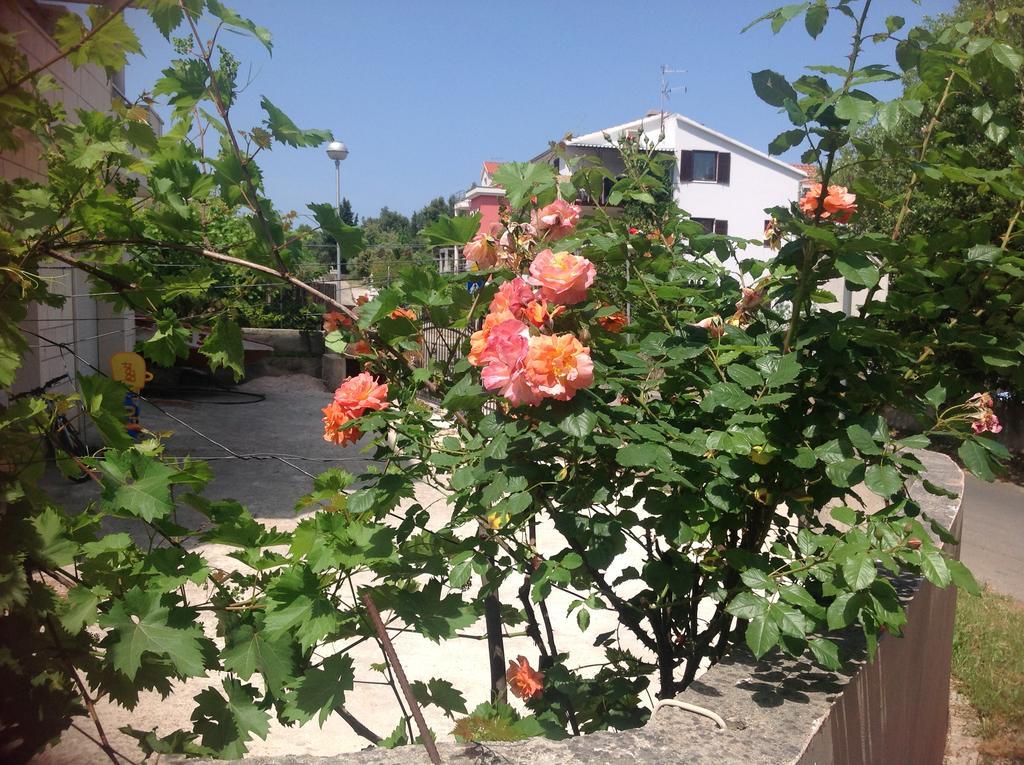 Peter&Zana Apartments สตารีกราด ภายนอก รูปภาพ